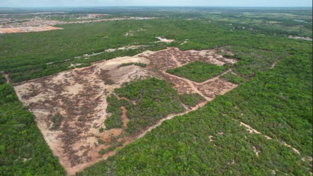 MP denuncia ex-secretária de Extremoz por desmate de Mata Atlântica em 21,58 hectares