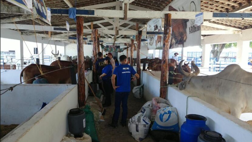 Festa do Boi adota análise da qualidade do leite para melhorar produtividade