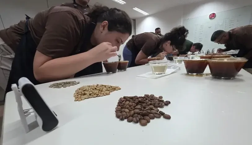 Concurso de cafés abre votação ao público na Festa do Boi nesta quinta-feira 15