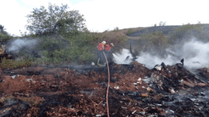Bombeiros registram sete incêndios em vegetação em 24 horas em Mossoró