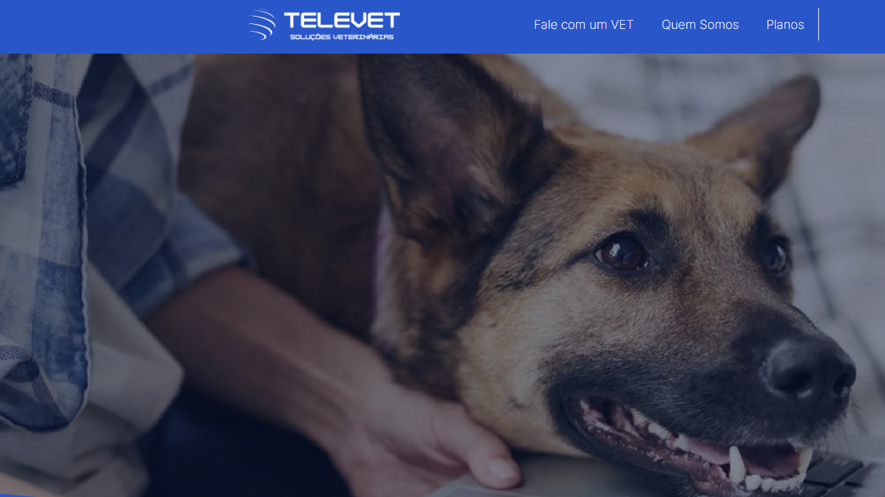 Hospital Veterinário de Natal oferece consultas gratuitas pela internet; veja como acessar